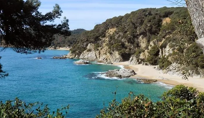 Al15 - 1 Familias A 300 M Playa Fenals *